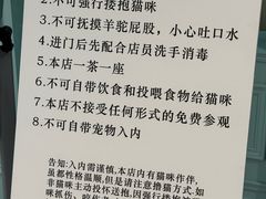 -安格丽娜·狗咖·猫咖羊驼咖(春熙路百盛商场店)