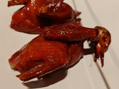 -鸽子侯·家宴·平价海鲜(市图书馆店)