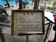 -陕西自然博物馆