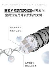 -YESIDO椰岛造型