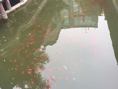 -龙潭水乡
