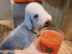-双拼市场·烧烤精酿啤酒