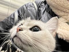 -佳雯宠物医院·皮肤科·内外科(春晓路分院)