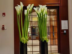 -上海明天广场JW万豪酒店