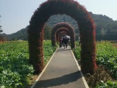 -广州市石门国家森林公园