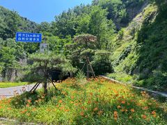 -沂蒙山旅游区龟蒙景区