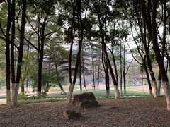 -塔子山公园