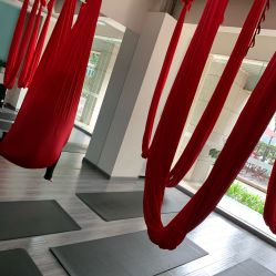 -榕树上·瑜伽普拉提