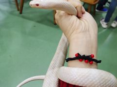 -藦茜花园宠物主题亲子互动体验馆(国顺东路店)