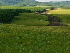 -塞罕坝国家级自然保护区