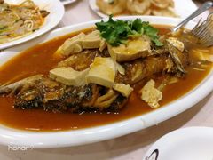 豆腐鱼-南波万