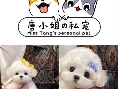 -唐小姐の猫狗洗护·购宠旗舰店(周浦万达店)