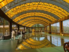-横道河子东北虎林园