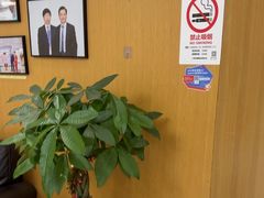 -雅悦齿科(顾村公园店)