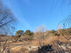 -北京西山国家森林公园