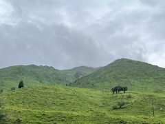-俭寨大盘鸡·缸子肉·小公鸡·新疆菜(云通店)