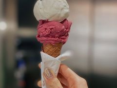 -Dip in Gelato(富民路店)