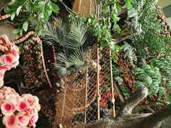 -正佳雨林生态植物园