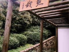 -天目湖山水园