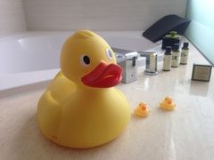 iphone_upload_pic-厦门海港英迪格酒店(中山路店)