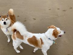 -六鳌翡翠湾滨海度假景区