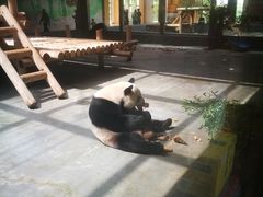 -西安秦岭野生动物园