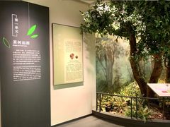 -中国茶叶博物馆(双峰馆区)