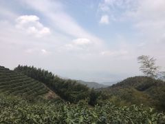 -径山寺