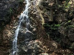 -南海湾森林生态园