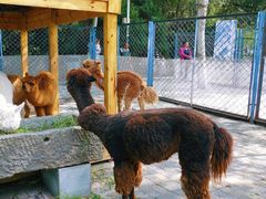 -长白岛森林公园