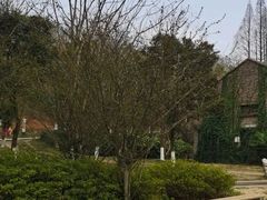 -冶山国家矿山公园