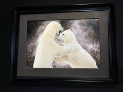 -罗红摄影艺术馆