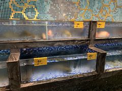 水产区-寻味顺德·珍之宝酒楼(银钻店)