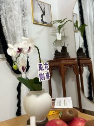 -闺蜜瑜伽·普拉提女性塑形馆