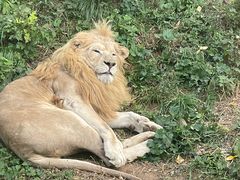 -石家庄市动物园