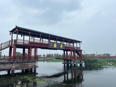 -微山湖红荷湿地景区