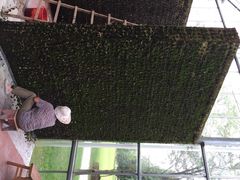 多利农庄有机体验馆-上海多利农业发展有限公司