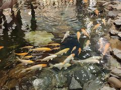 -大天然酒店(军民路店)