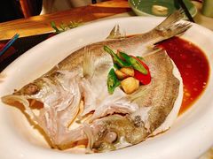 -绿茶餐厅(西单老佛爷店)