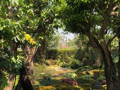 -Chom Cafe and Restaurant