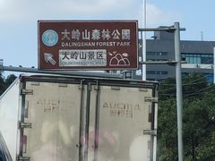 -东莞市大岭山森林公园