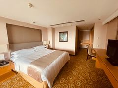 -佛山岭南天地康得思酒店
