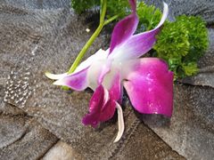 -大妙火锅·非物质文化遗产(东湖公园店)