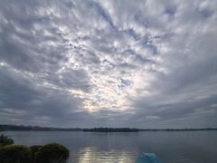-丁香湖公园