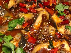 -Local泰莲庭(虹鳟鱼店)