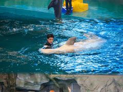 -威海华夏城景区