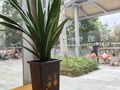 -木嘛working coffee&bar(碧道馆店)