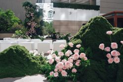 -北京嘉里大酒店·宴会厅婚宴·户外婚礼·生日宴