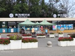 -棒棰岛宾馆景区