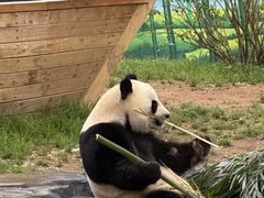 -秦皇岛野生动物园